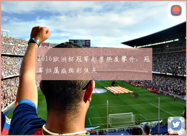 2016欧洲杯冠军彩票热度攀升,冠军归属成购彩焦点