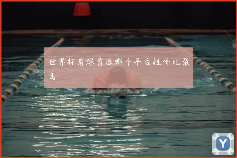 世界杯看球首选哪个平台性价比最高
