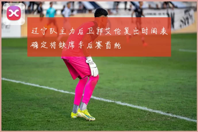 辽宁队主力后卫郭艾伦复出时间表确定将缺席季后赛首轮