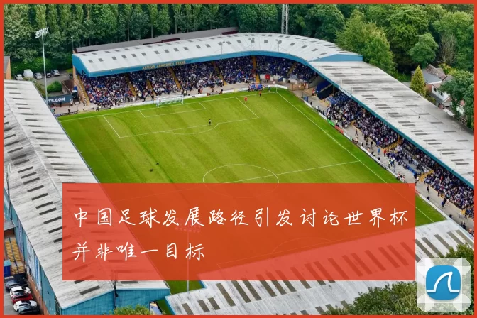 中国足球发展路径引发讨论世界杯并非唯一目标