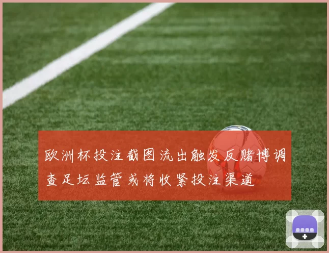欧洲杯投注截图流出触发反赌博调查足坛监管或将收紧投注渠道