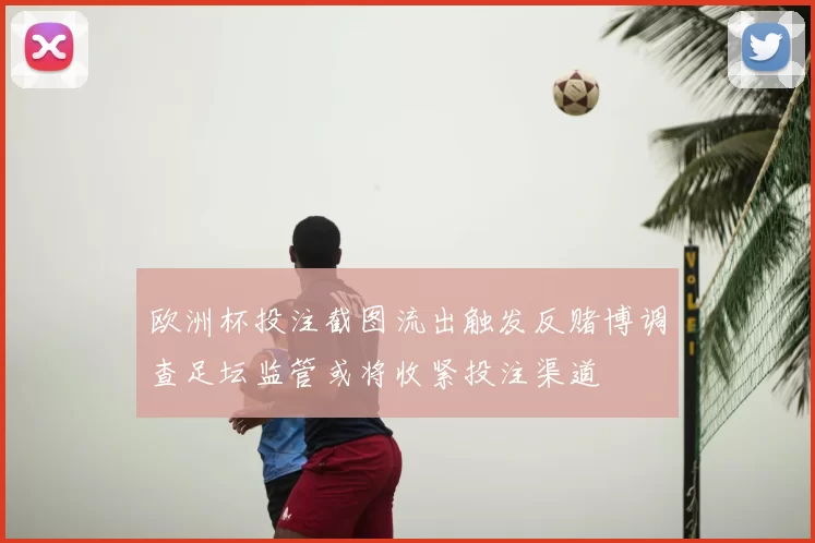 欧洲杯投注截图流出触发反赌博调查足坛监管或将收紧投注渠道
