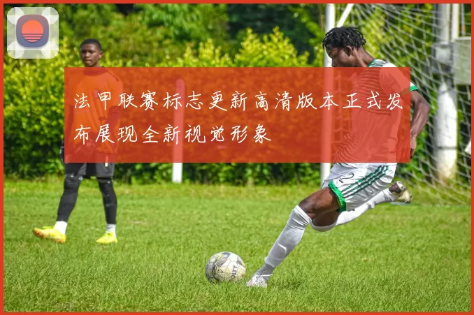 法甲联赛标志更新高清版本正式发布展现全新视觉形象