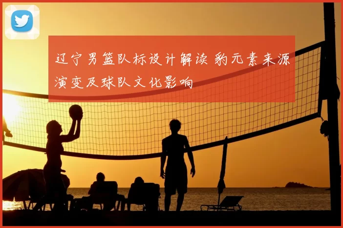 辽宁男篮队标设计解读 豹元素来源演变及球队文化影响