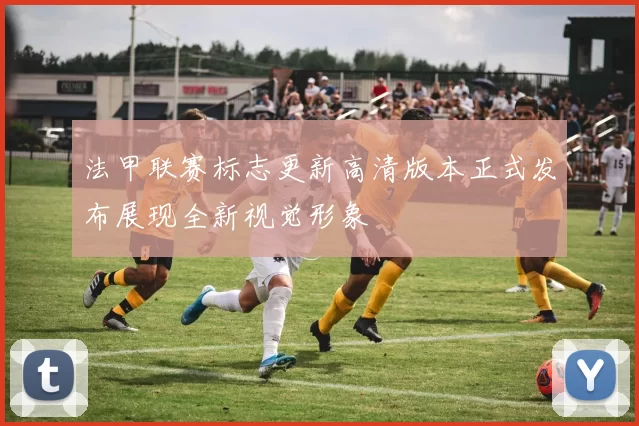 法甲联赛标志更新高清版本正式发布展现全新视觉形象