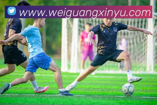 南宫电子pg官网平台生态图